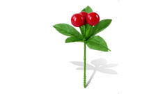 Premier Berry Pick Red 17cm Artificial Berries Floral Decoration Christmas Craft