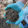 Slugs Away All Natural Wool Pellets Slug Deterrent Repellent Kit Protect Gardens