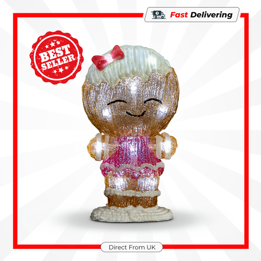 Premier Lit Gingerbread Girl 16 White LEDs Christmas Acrylic Decoration 22cm