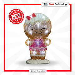 Premier Lit Gingerbread Girl 16 White LEDs Christmas Acrylic Decoration 22cm