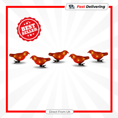 Premier Acrylic Robin 16cm Clip-On Christmas Light 30 Warm White LEDs