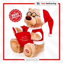 Premier Animated Storytelling Bear 24cm Battery Operated Christmas Toy