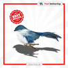 Premier Midnight Blue Clip On Robin 11cm Christmas Tree Ornament Decoration