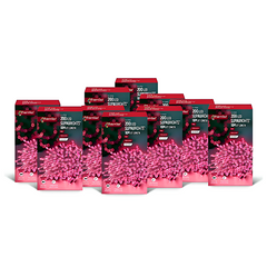 Premier 200 LED Multi Action Supabrights With Timer Pink/Clear Cable