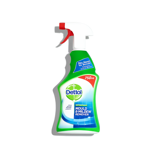 Dettol Mould & Mildew Remover 750ml Bathroom Shower Bleach Spray
