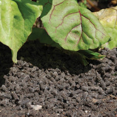 Slugs Away All Natural Wool Pellets Slug Deterrent Repellent Kit Protect Gardens