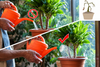 Fine As Rain Garden Watering Can Rose Multi Head Water Sprinkler Hose Sprayer Oval