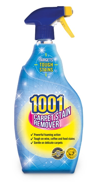 1001 Carpet Stain Remover 500ml