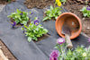 Ambassador Weed Control Fabric 100m x 1.5m 50 g/m2