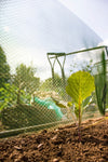 Ambassador Plant Shading 10m x 660mm