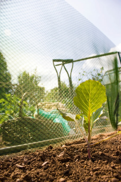 Ambassador Plant Shading 10m x 660mm