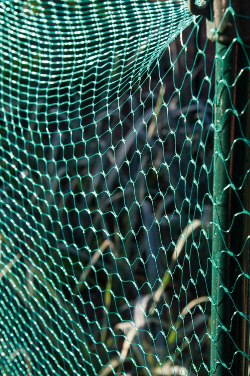 Ambassador Garden Net Green 15mm x 6 x 4m