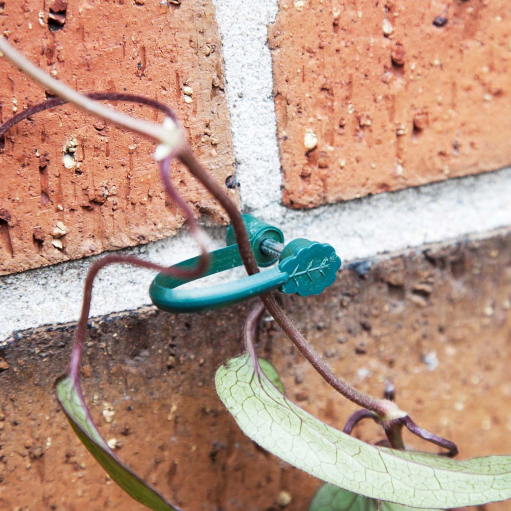 Garden Accessories
