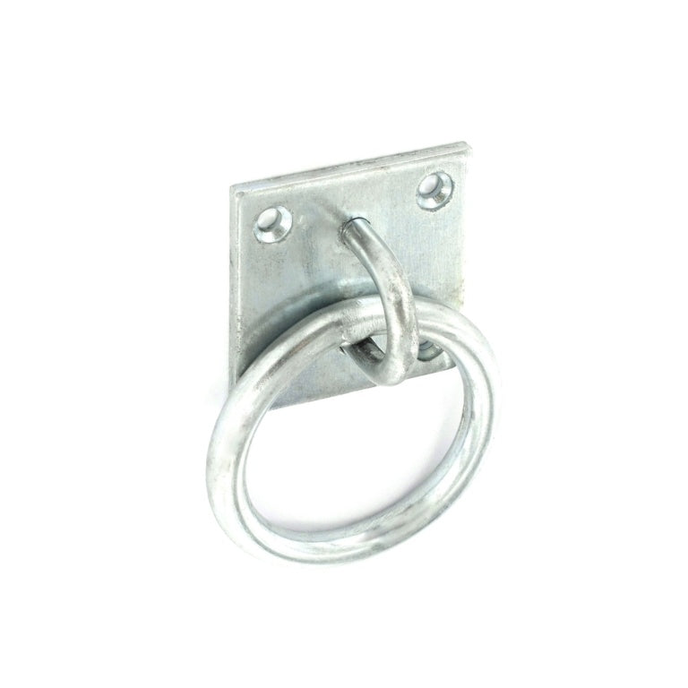 Securit Ring on Plate 50mm ZP