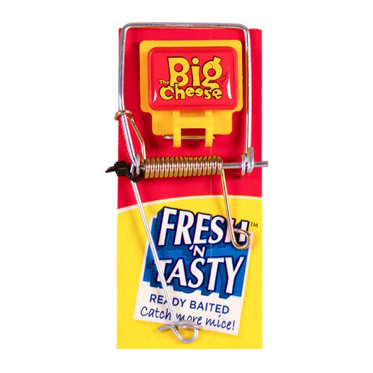 The Big Cheese Fresh Baited Mouse Trap Single
