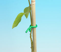 Ambassador Twist Tie 6m