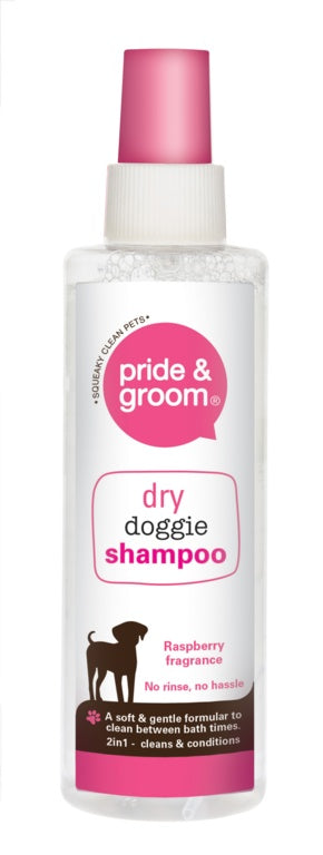 Pride & Groom Dry Shampoo Spray 200ml