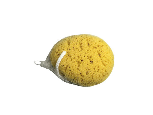 Blue Canyon Body Sponge Yellow