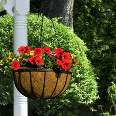 Ambassador Flat Bar Hanging Basket 12"