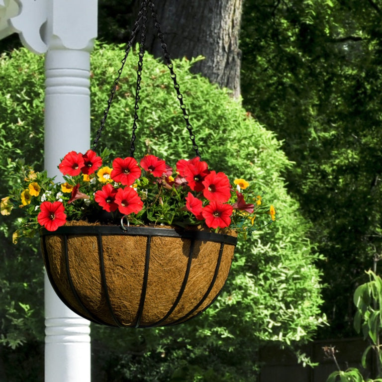 Ambassador Flat Bar Hanging Basket 12"