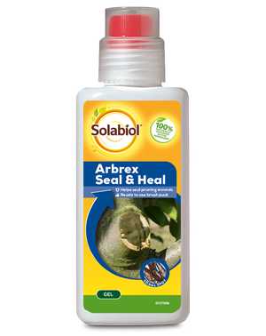 Provanto Arbrex Seal & Heal 300g