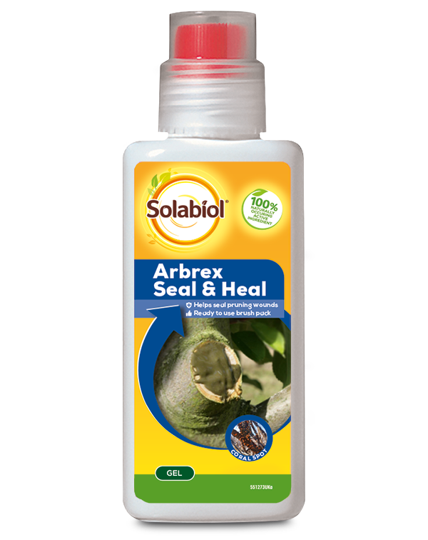 Provanto Arbrex Seal & Heal 300g