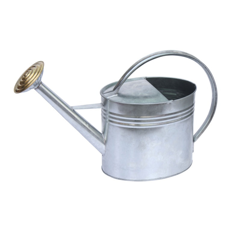 Ambassador Oval Galvanised Watering Can 5L