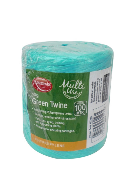Ambassador Green Poly Twine Spool 100gm/150m