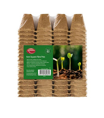 Ambassador Square Fibre Pots 6cm Pack 80