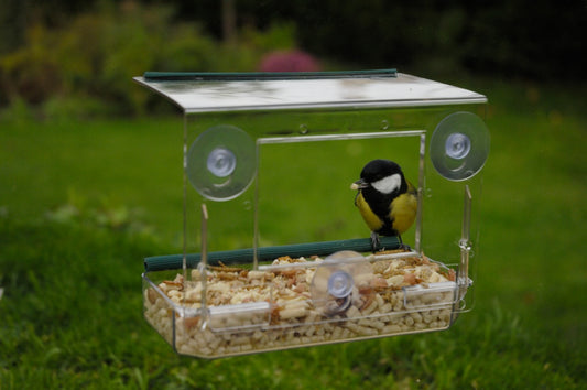 Rspb Window Feeder