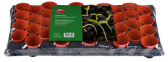 Ambassador Growing Tray 18 x 9cm Square Pots