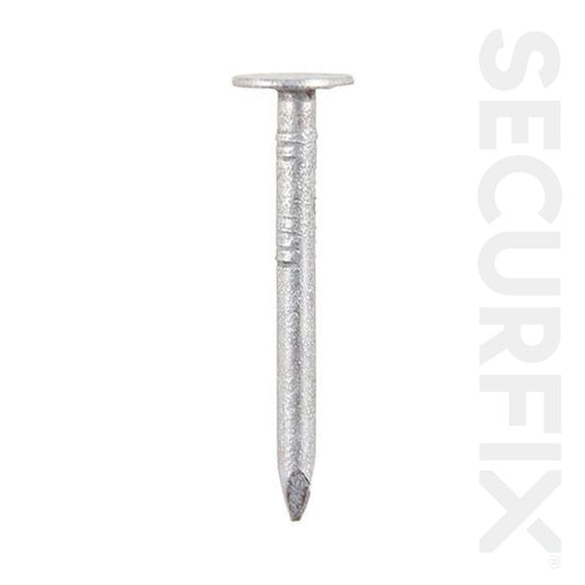 Securfix Clout Nails Galvanised 30mm 2.5kg