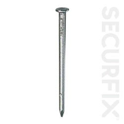 Securfix Round Wire Nails Galvanised 100mm 250g