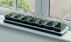 Garland Super 7 Electric Windowsill Propagator 76 x 18.5 x 15cm 13 Watt
