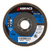 Abracs Flasp Disc 115mm 40g