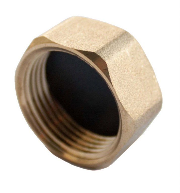 Securplumb Compression Blanking Nut 3/4"