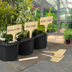 Ambassador Bamboo T Labels & Pencil 10 Piece 4"