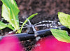 Hozelock 360 Degree Adjustable Sprinkler Pack 12