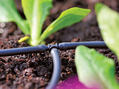 Hozelock T Piece 4mm Pack 12