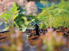 Hozelock End Of Line Adjustable Sprinkler Pack 12