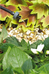 Hozelock 4 LPH End of Line Pressure Compensating Dripper (Contains 5)