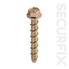 Securfix Concrete Bolt 10 Pack M6 x 150mm