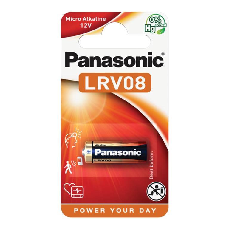 Panasonic Car Alarm Battery Small 12 Volt Single Card 1