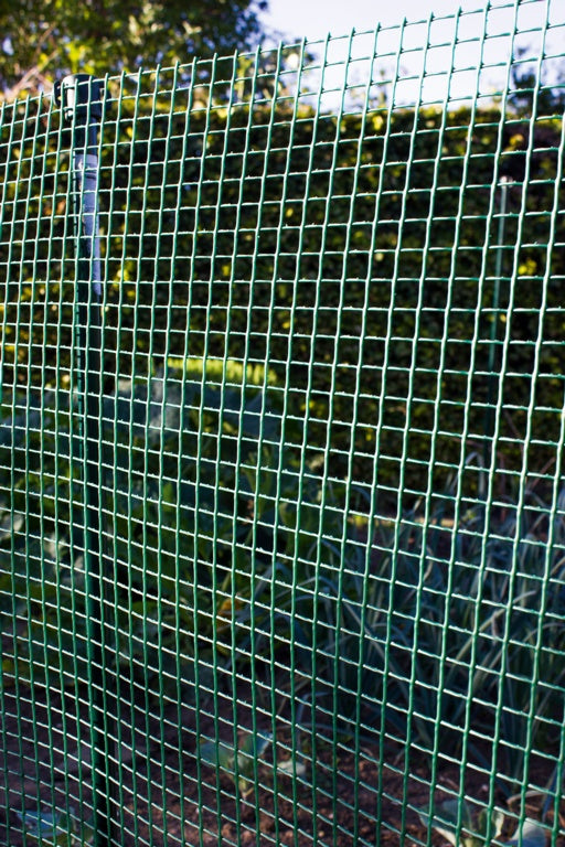 Ambassador Garden Mesh 30 x 1m