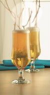 Rayware Tulip Pilsner Glasses x 4 35cl
