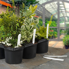 Ambassador Plant Labels 4" (10cm)