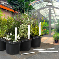 Ambassador Plant Labels 4" (10cm)