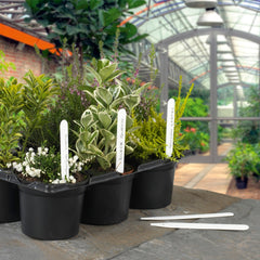 Ambassador Plant Labels 4" (10cm)