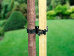 Ambassador Soft Shrub Ties 9" Pack 2